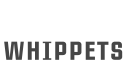 whippets show results logo